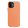 CASE SILICON