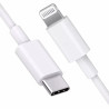 Cable Tipo C a Lightning