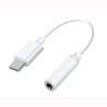 ADAPTADOR TIPO C A JACK